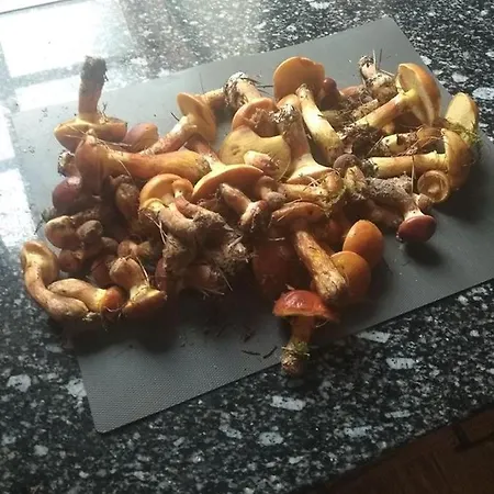 Venkovský dům Chalupa U Lesa Na Polosamotě V Podkrkonoší