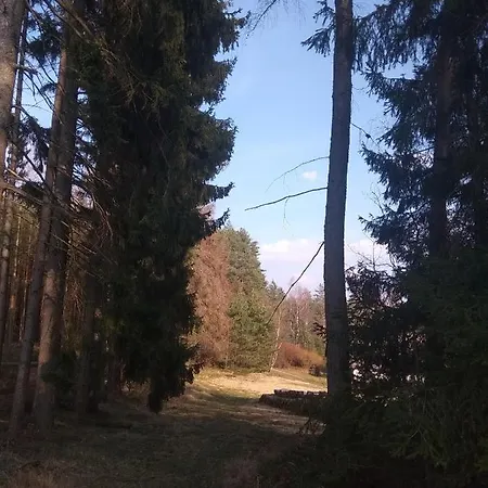 Chalupa U Lesa Na Polosamotě V Podkrkonoší Venkovský dům Mostek